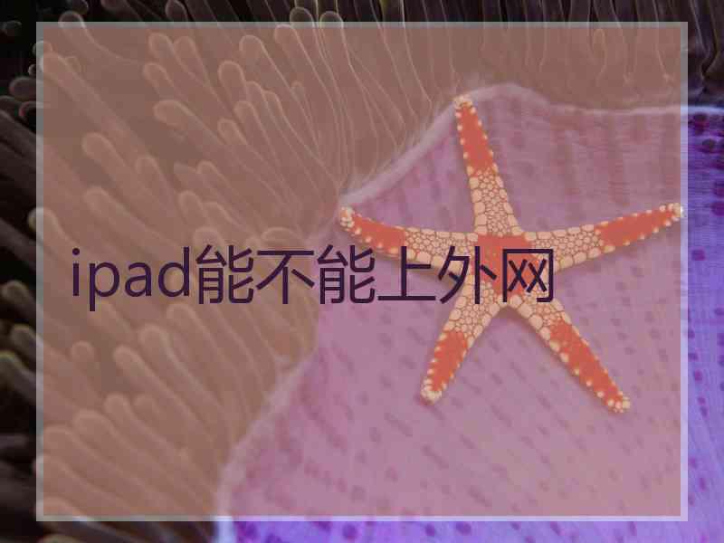 ipad能不能上外网