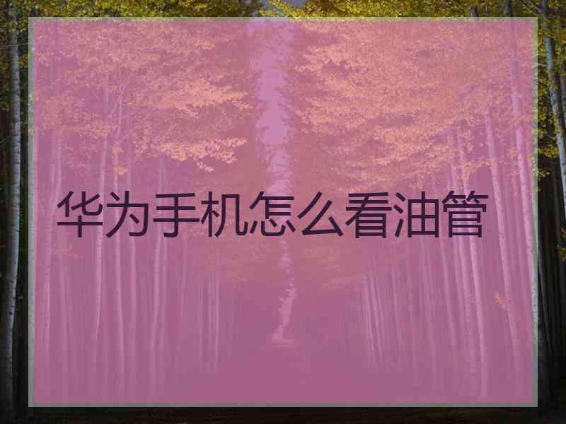 华为手机怎么看油管