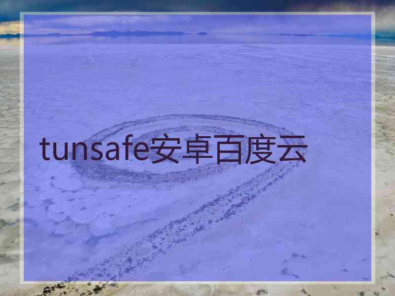 tunsafe安卓百度云