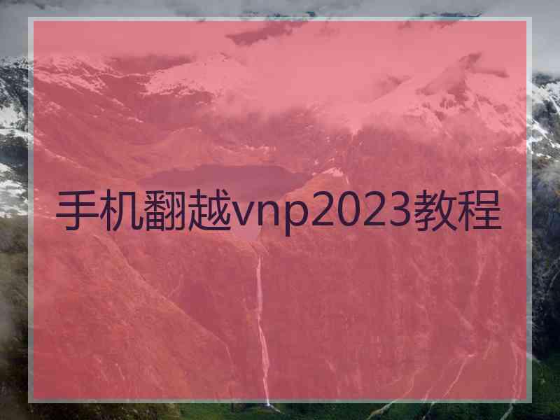 手机翻越vnp2023教程