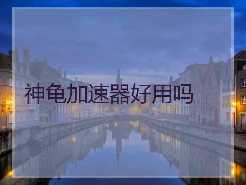 神龟加速器好用吗