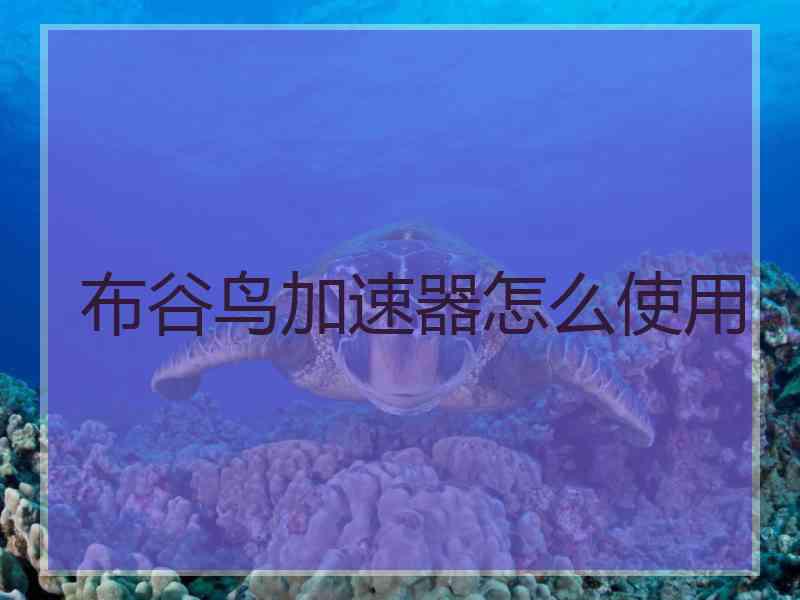 布谷鸟加速器怎么使用