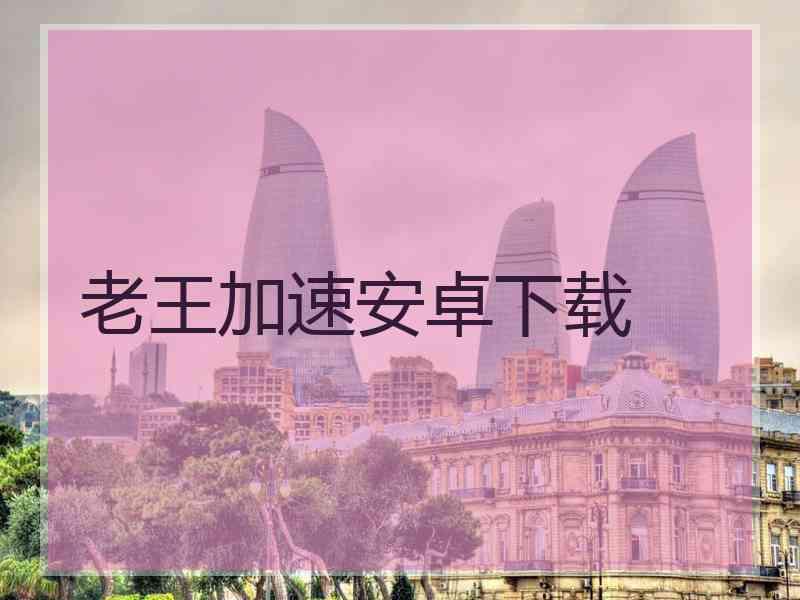 老王加速安卓下载