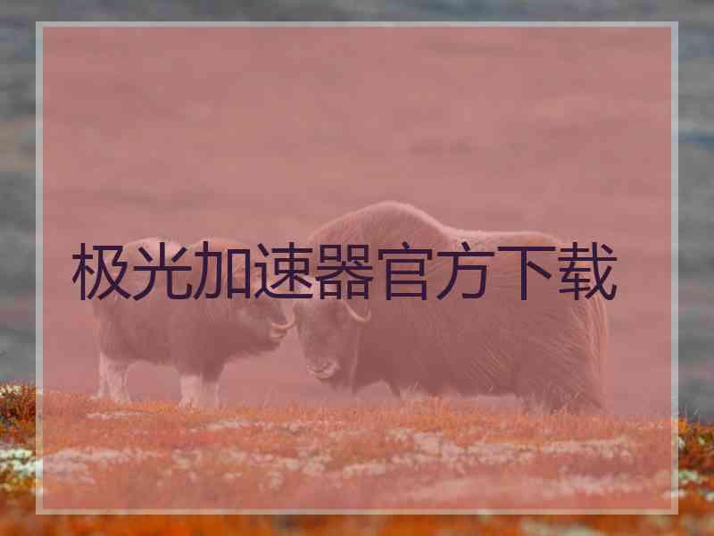 极光加速器官方下载