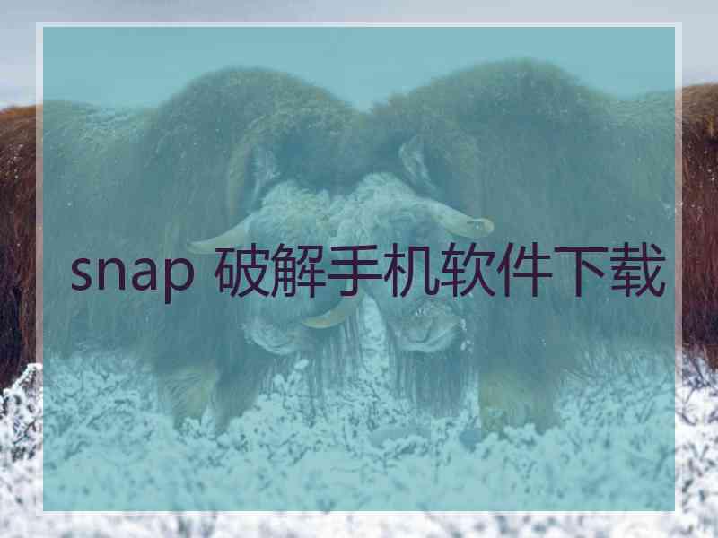 snap 破解手机软件下载