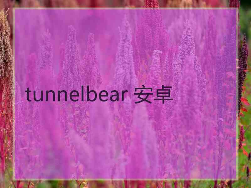 tunnelbear 安卓
