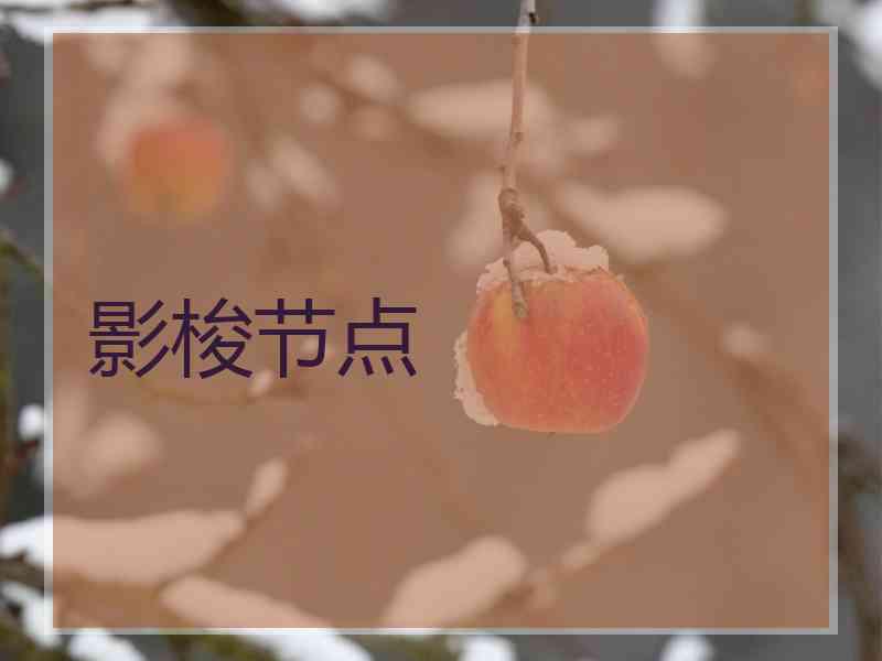 影梭节点