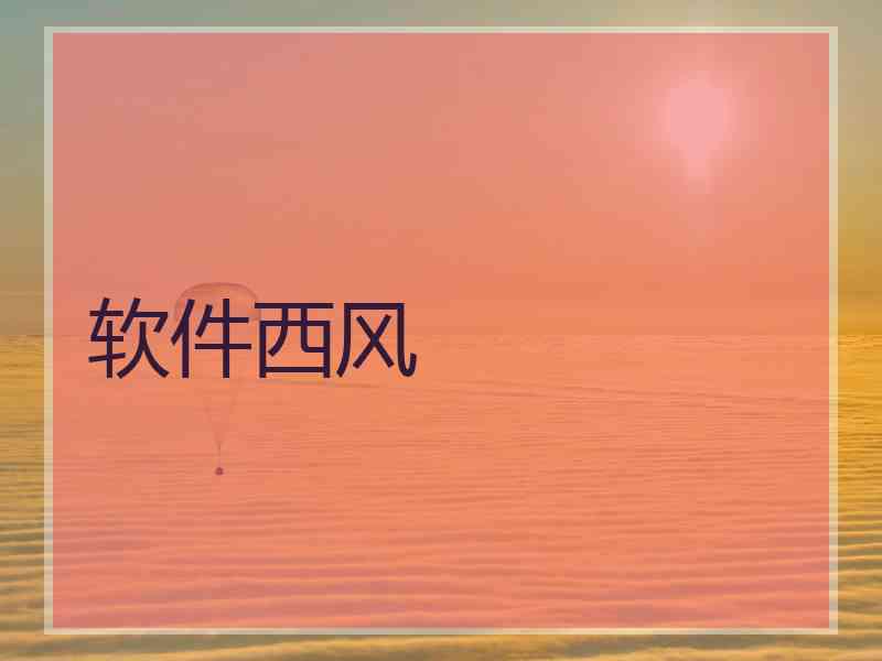 软件西风
