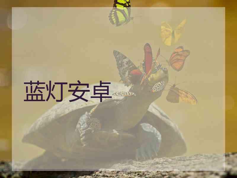 蓝灯安卓