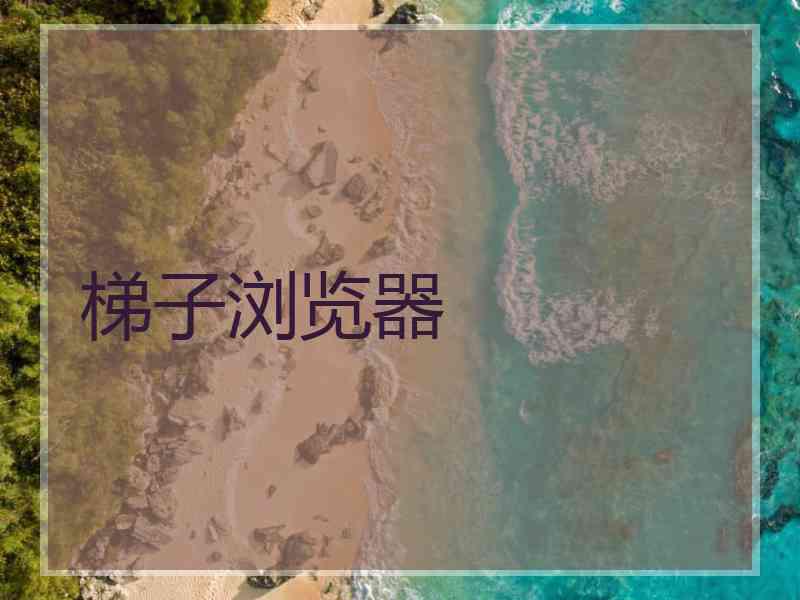 梯子浏览器