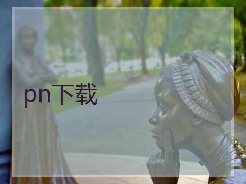 pn下载