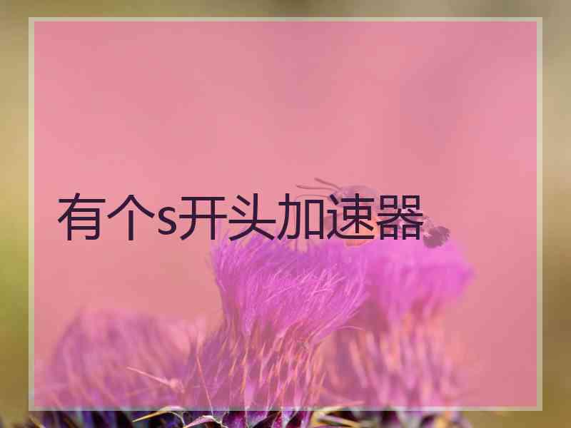 有个s开头加速器