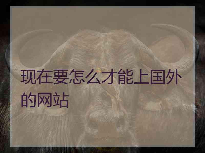 现在要怎么才能上国外的网站