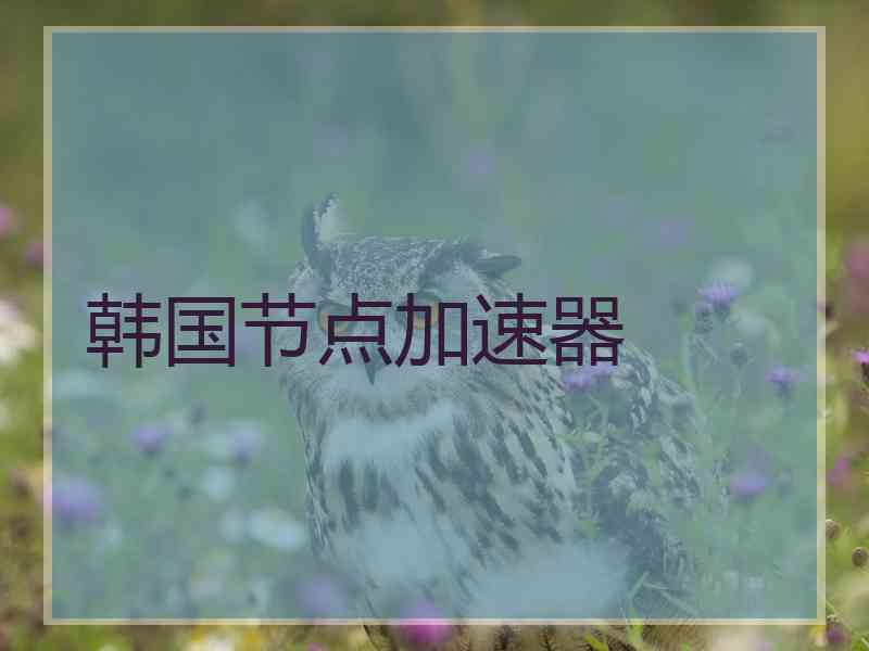 韩国节点加速器
