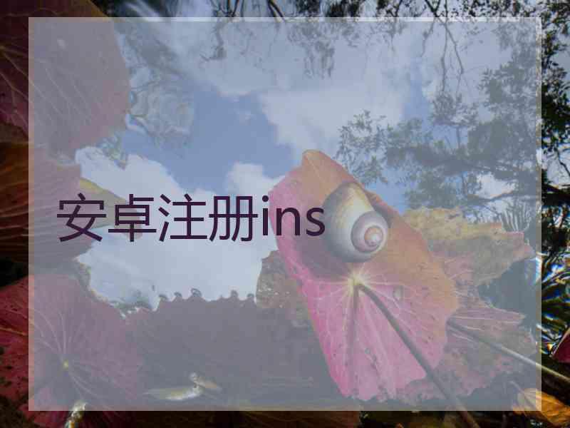 安卓注册ins