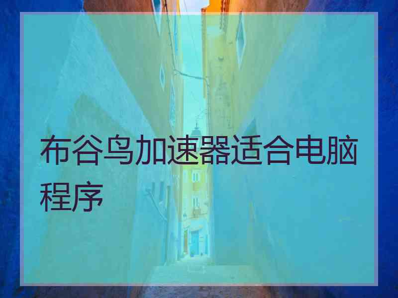布谷鸟加速器适合电脑程序