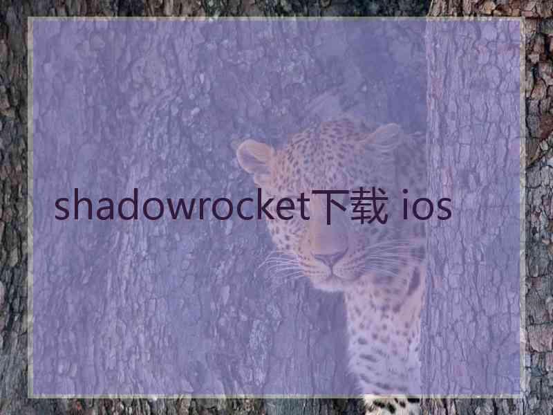 shadowrocket下载 ios