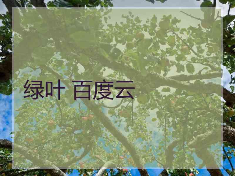 绿叶 百度云