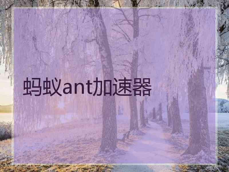 蚂蚁ant加速器