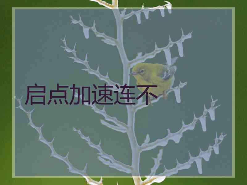 启点加速连不