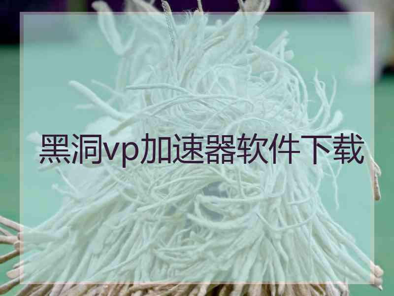 黑洞vp加速器软件下载