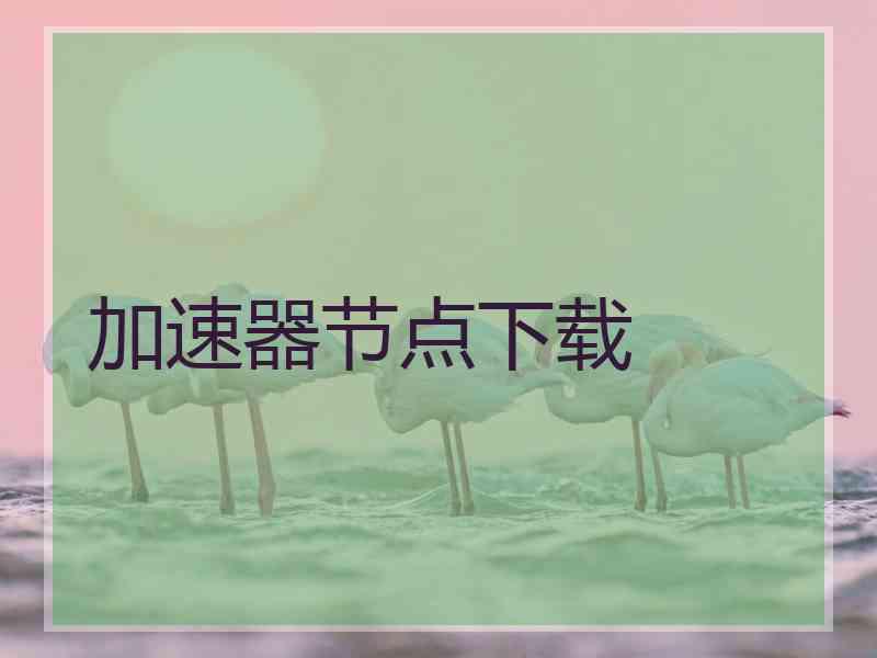 加速器节点下载