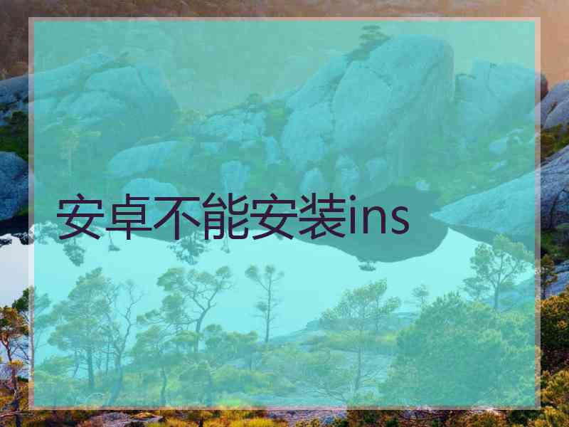 安卓不能安装ins