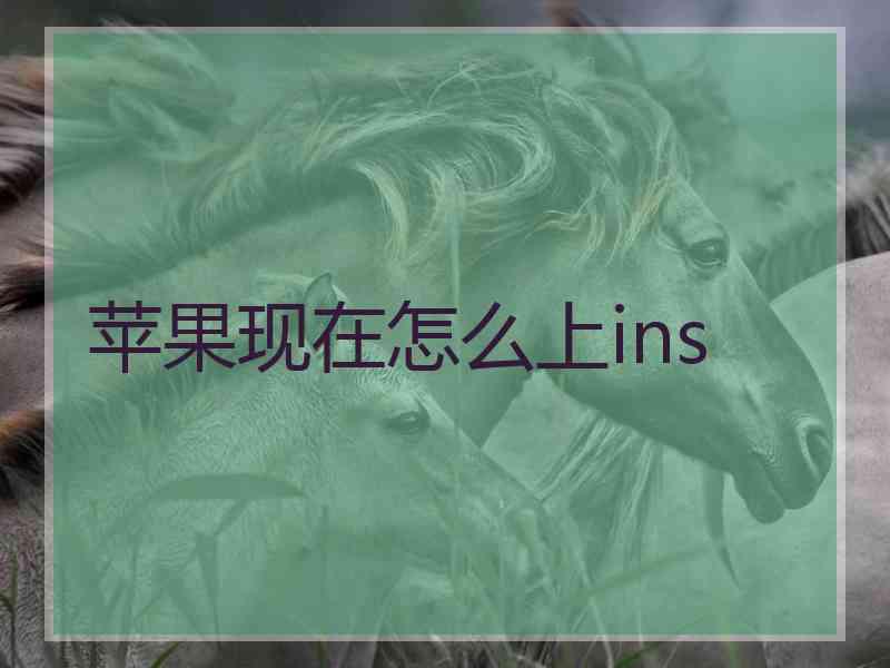 苹果现在怎么上ins