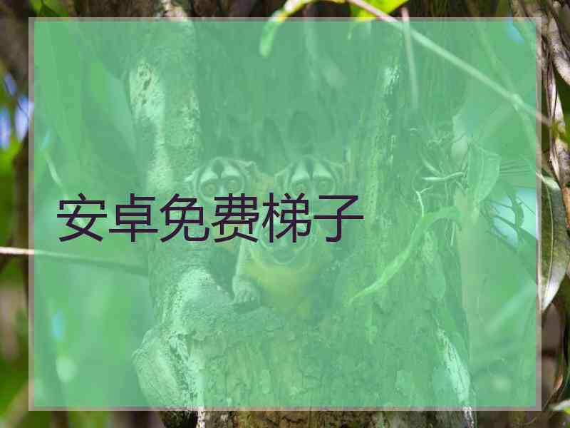 安卓免费梯子