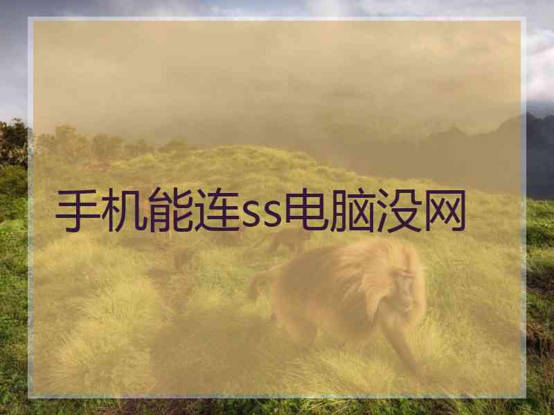 手机能连ss电脑没网