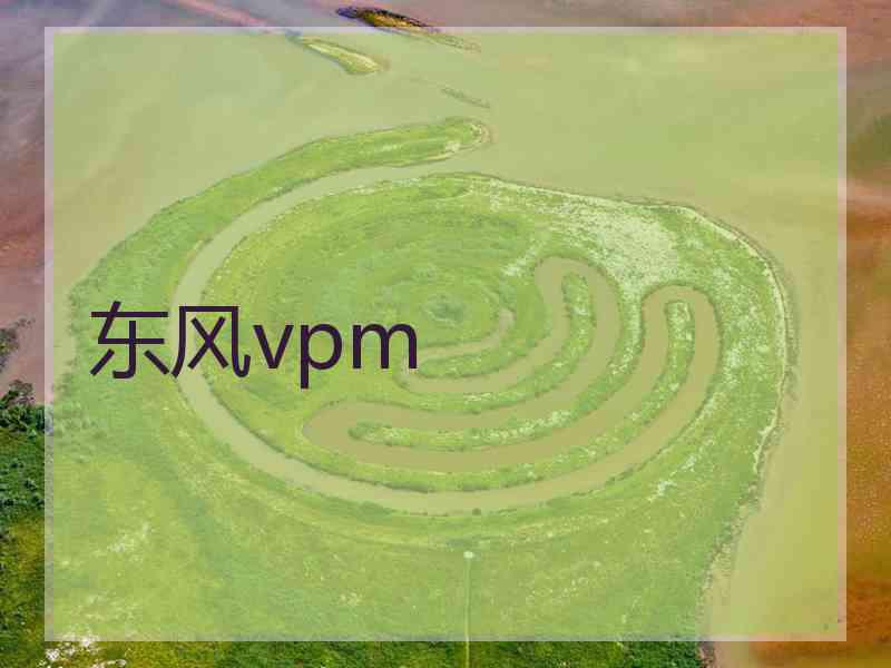 东风vpm