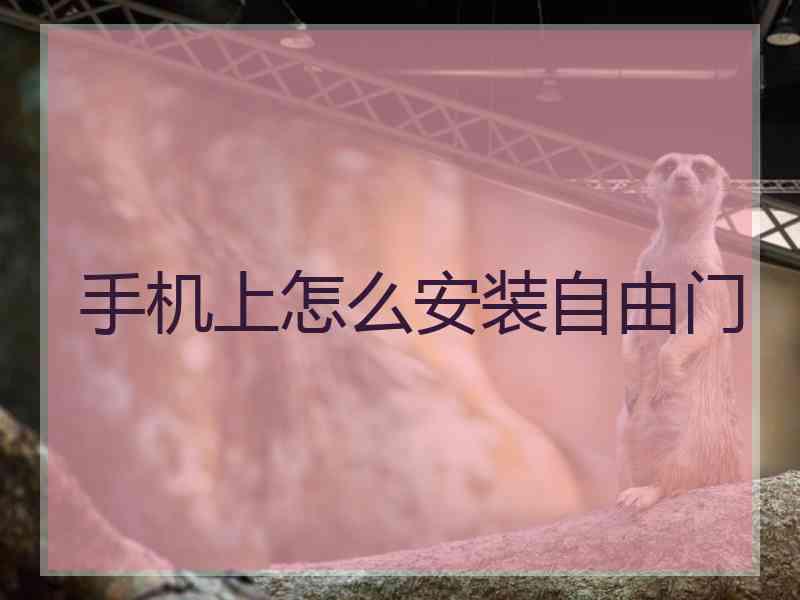 手机上怎么安装自由门