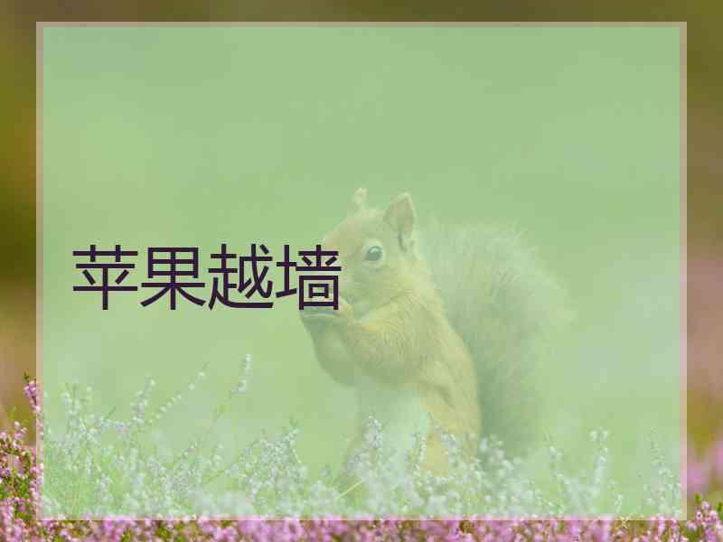 苹果越墙
