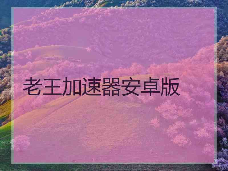 老王加速器安卓版