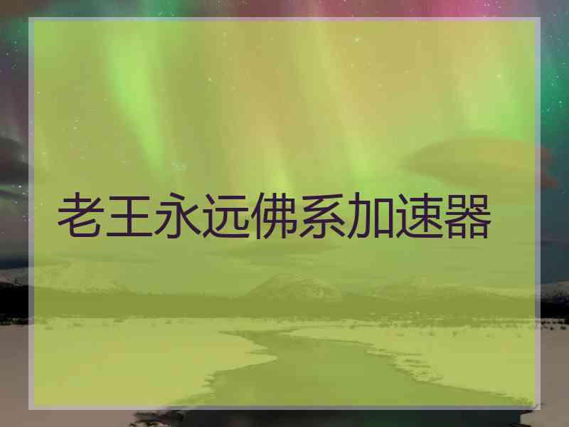 老王永远佛系加速器