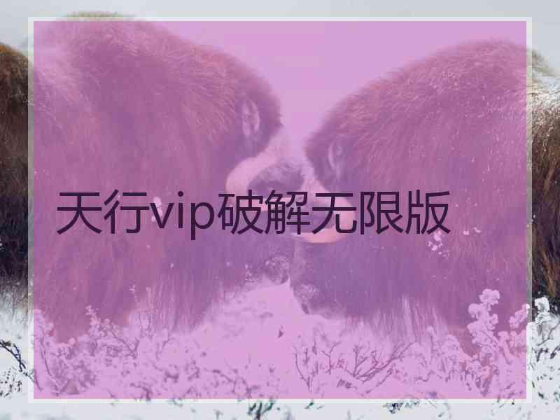 天行vip破解无限版