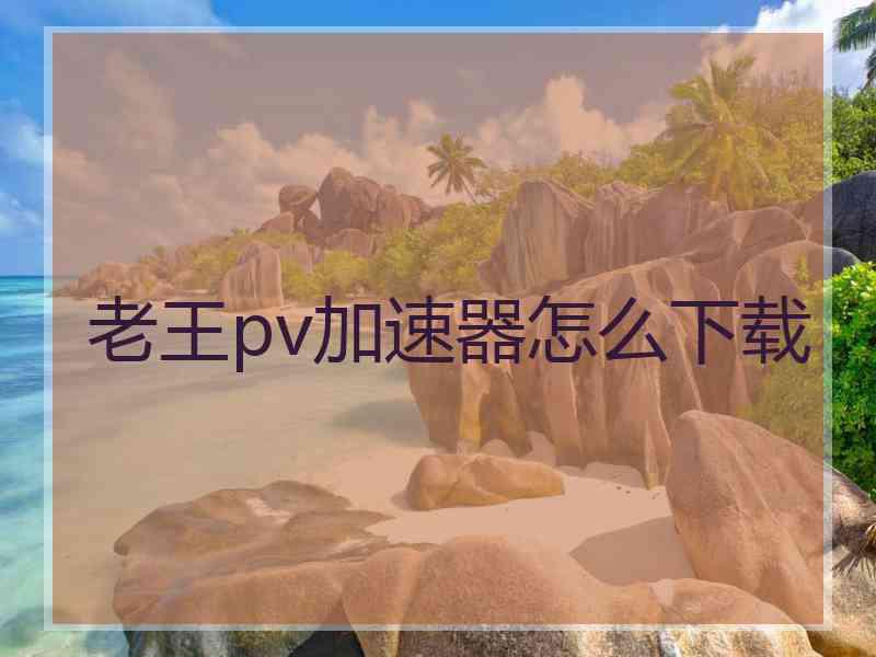 老王pv加速器怎么下载
