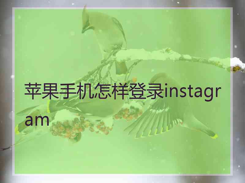 苹果手机怎样登录instagram