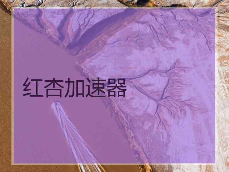 红杏加速器