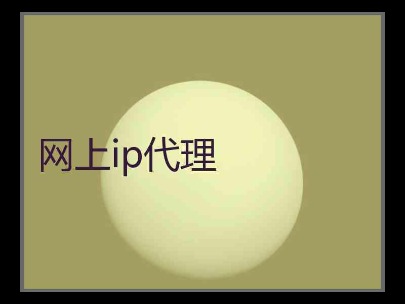 网上ip代理