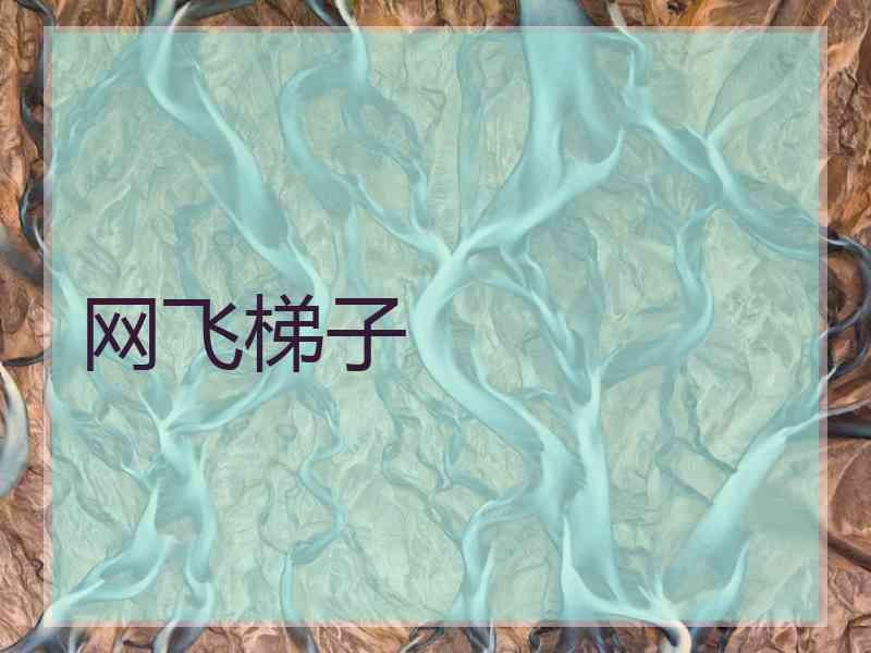 网飞梯子