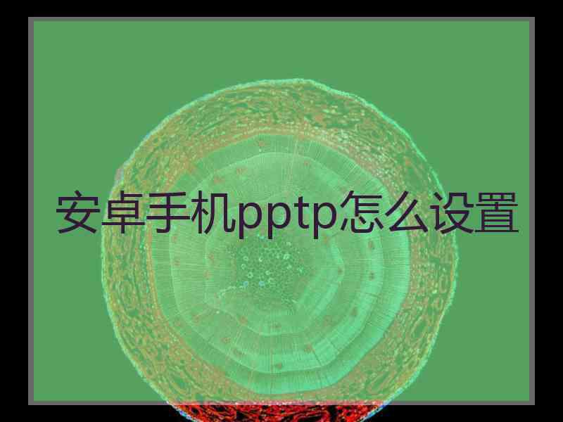 安卓手机pptp怎么设置