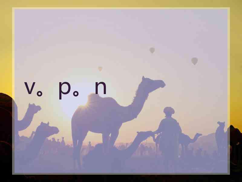 v。p。n