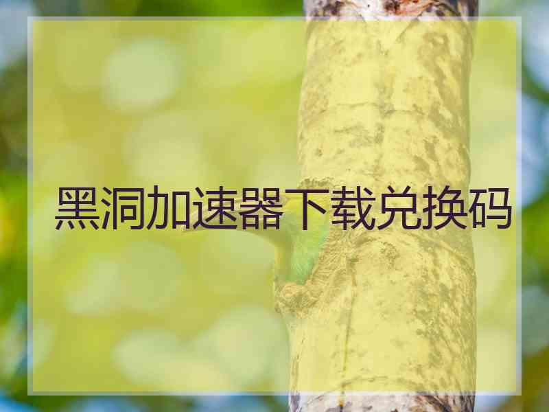 黑洞加速器下载兑换码