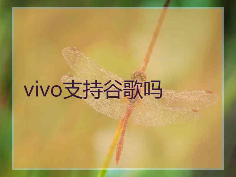 vivo支持谷歌吗
