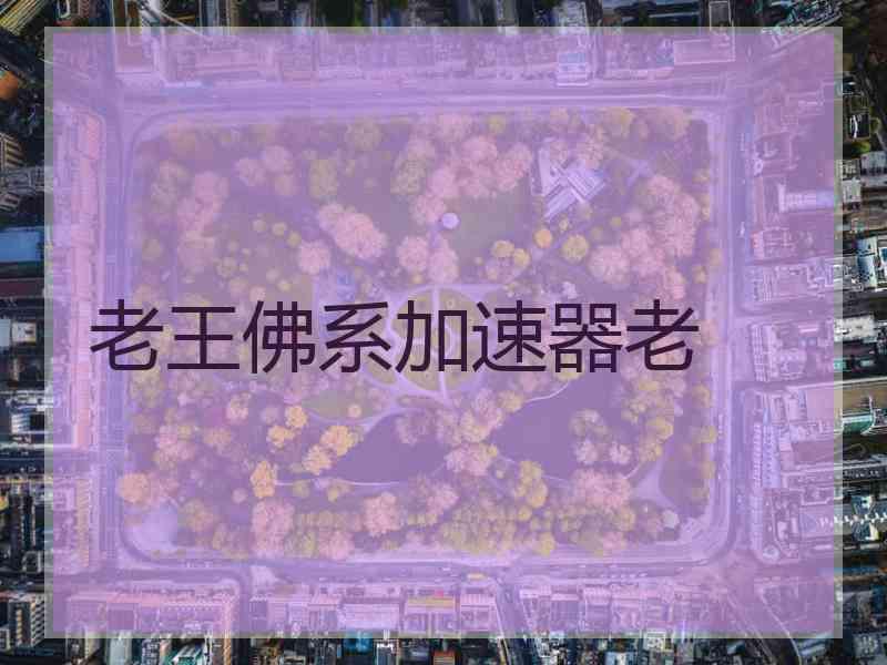 老王佛系加速器老