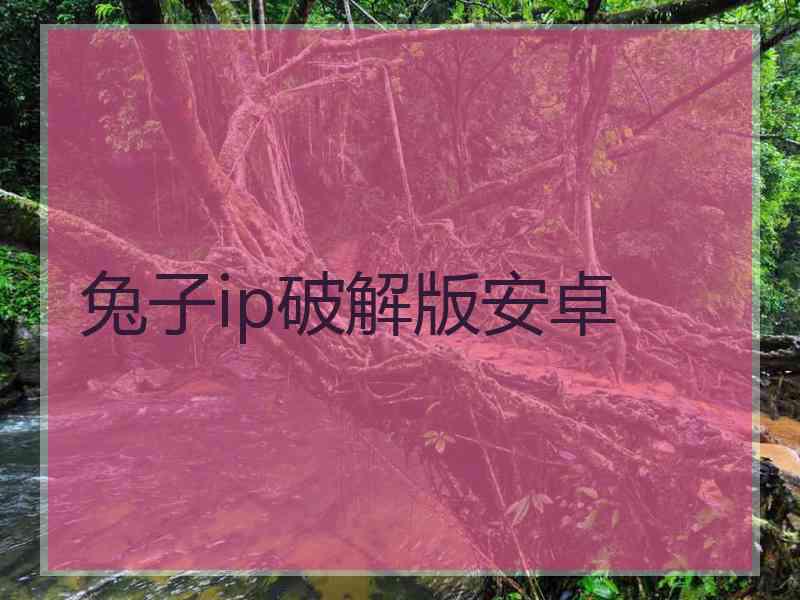 兔子ip破解版安卓