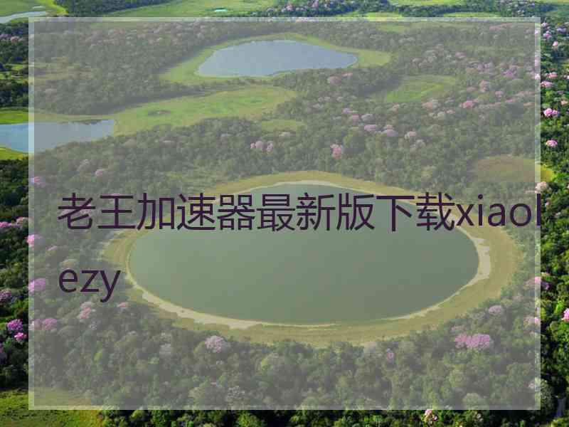 老王加速器最新版下载xiaolezy