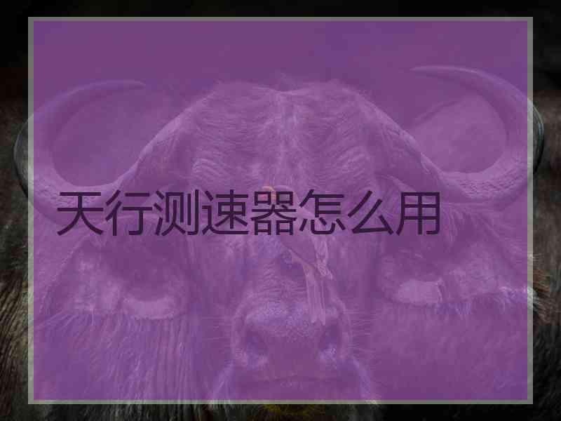 天行测速器怎么用