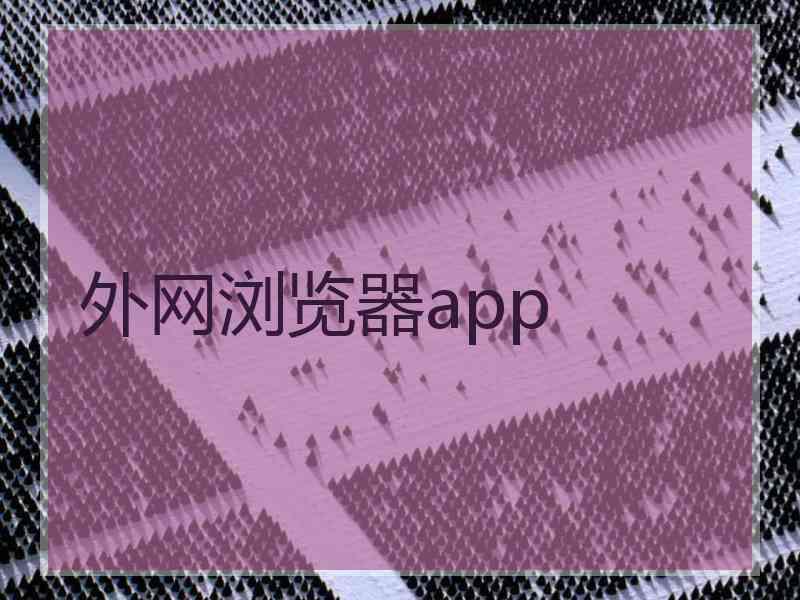 外网浏览器app